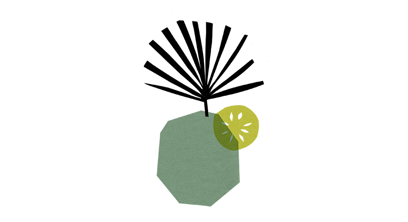 15_green2.png